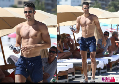 hotfamous men robin van persie