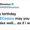 deidrelovessheamus happy birthday cesaro may