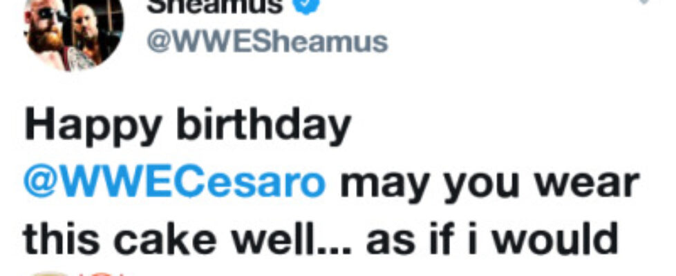 deidrelovessheamus happy birthday cesaro may