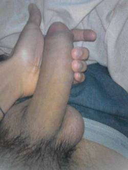manda tus aportaciones a pajaroparao11hotmailcom