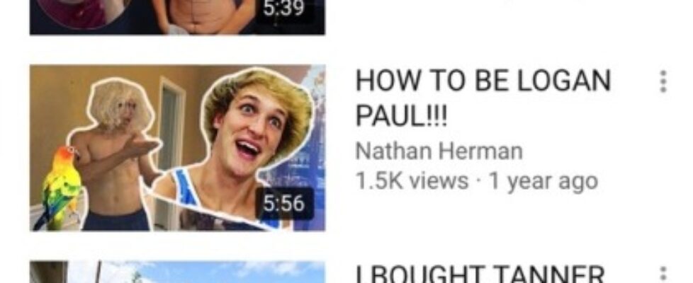 500 likes to see famous youtuber nathan herman