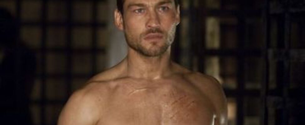 andy whitfield