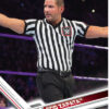 wwe referee robert vista