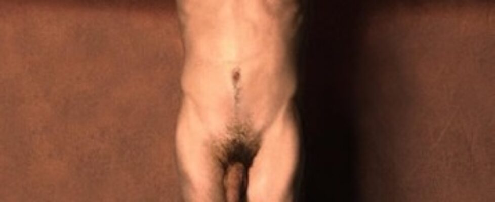 david beckhams naked body front and back