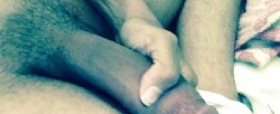 saudi arabian cock