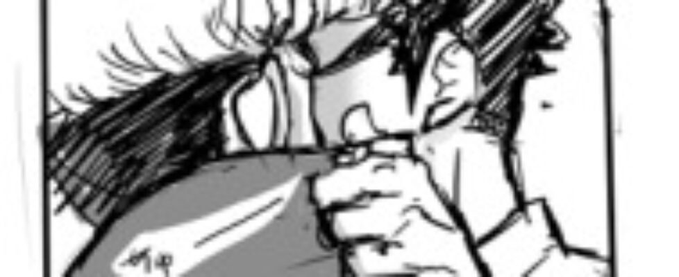 https twitter com hiraga na media