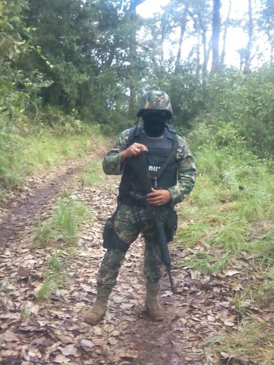 a1n2t3o4 verde es vida