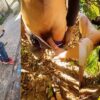 Guilmerme a fuck compilation