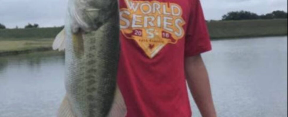 popular post from last blog straight baseball