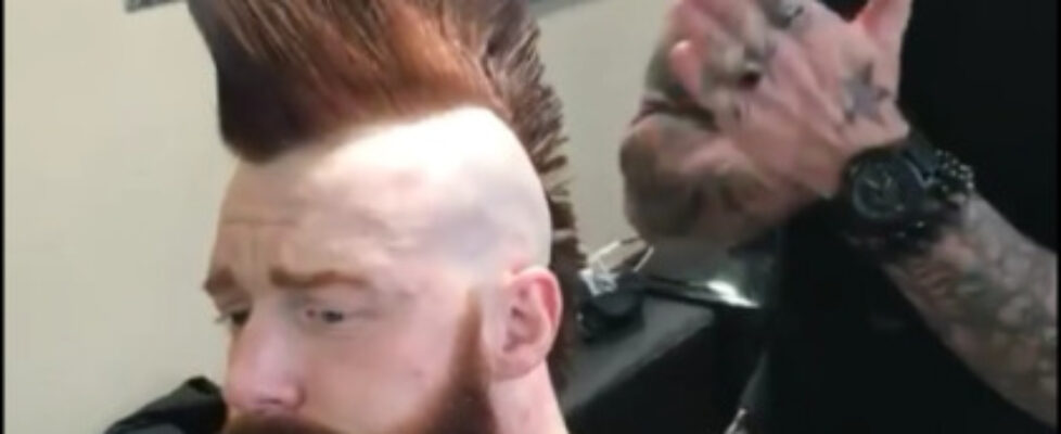 sheamus with david hensley ig story pics