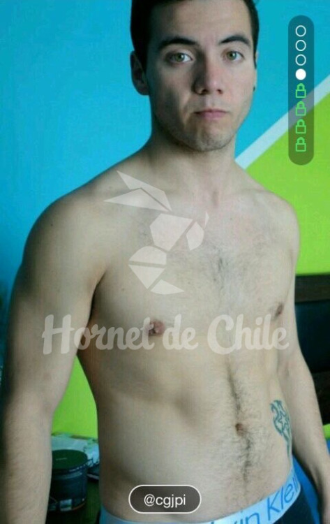 aporte hornetdechile
