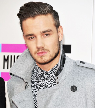 bulgecelebrity liam payne sex video soon