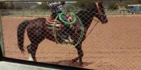 chads1295 yes cowboys follow me on