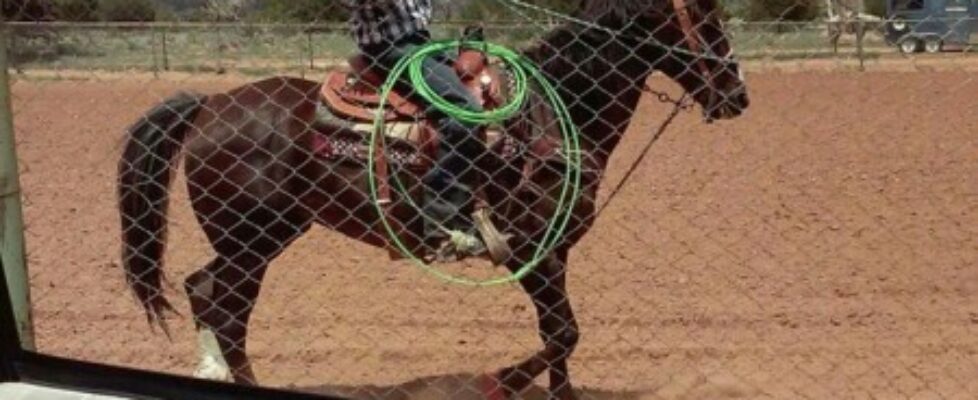 chads1295 yes cowboys follow me on