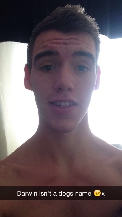 david 20 follow this