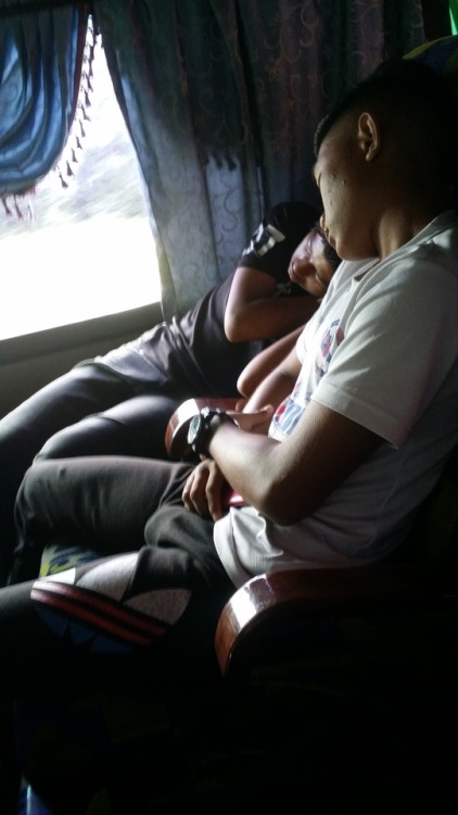 player hoki under 14nyammm nyanmmm