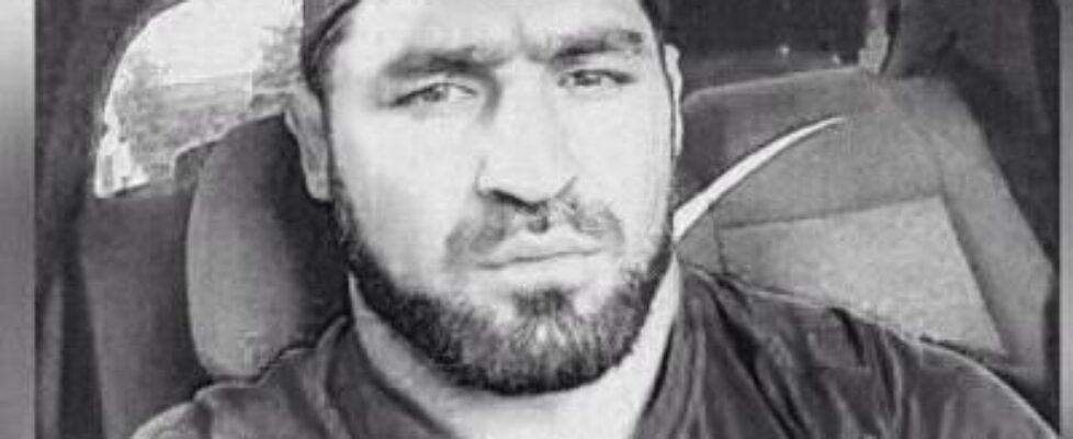 7izard exclusively selected cocks