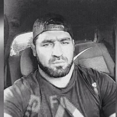 7izard exclusively selected cocks