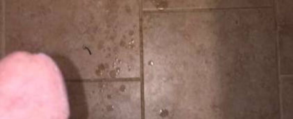 austyn is so fucking jacked and has a massive load