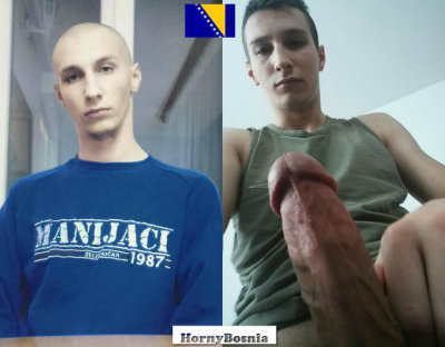 hornybosnia тврди босански bosnian muslim do