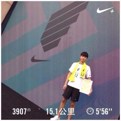 landdiscovery alllung badboy3310