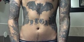 progress pics
