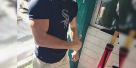 rico chacal activo y dotado