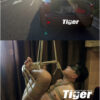 zenxyf s shanghai rope tiger