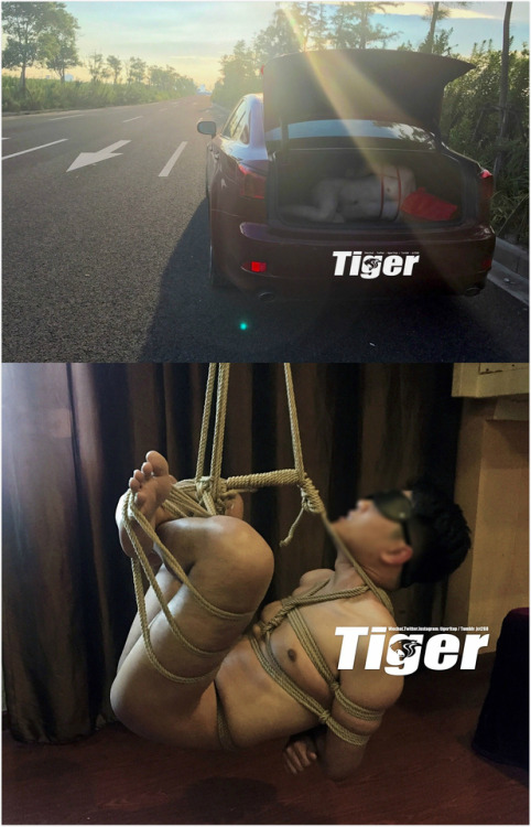 zenxyf s shanghai rope tiger