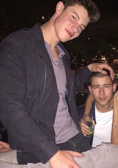 shawn mendes and nick jonas exposed