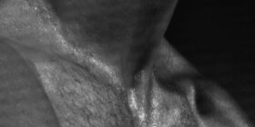 virile by studiocorredor