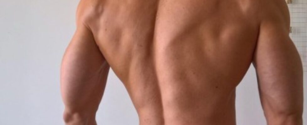 secretlifess naumgrozni