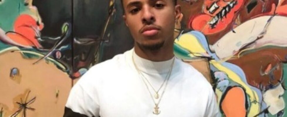 the diggy collection selling for ten dollars