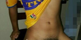 siguen ganando los tigres