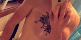 submission damon newcastle