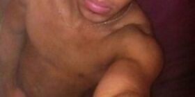 chihgdl lavergadetunovio yako bori 420