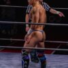 silverskinsrepository koju takeda 竹田光珠