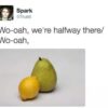 whoa were halfway there puns are the best