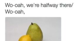 whoa were halfway there puns are the best