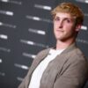 logan paul apollo meets kong for the first time