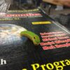 so i found this caterpillar on my way to class